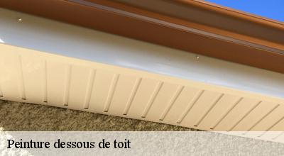 /photos/1758275-peinture-dessous-de-toit