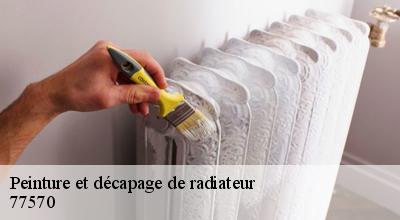 /photos/1760021-peinture-et-decapage-de-radiateur