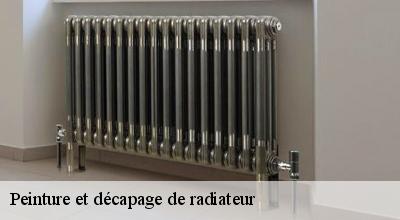 /photos/1760021-peinture-et-decapage-de-radiateur