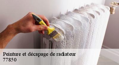 /photos/1760147-peinture-et-decapage-de-radiateur