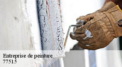 /photos/1760641-entreprise-de-peinture